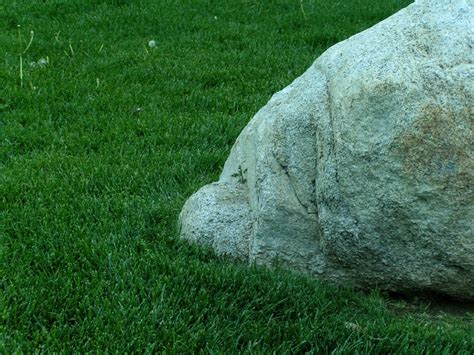 rock with grass on it.